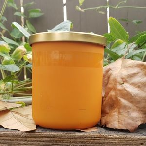 DW Home Pumpkin Butter Fall Candle